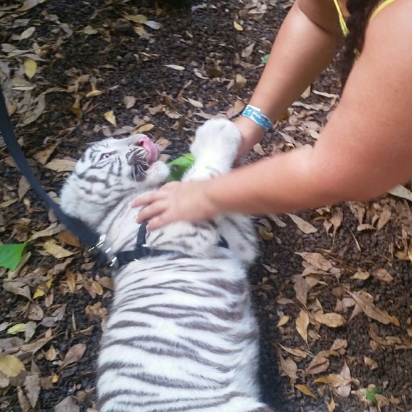 Meet your Posher, Ely - Picture 7 of 9